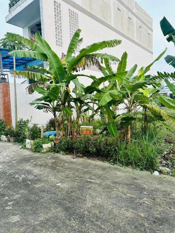 Bán lô đất  mặt tiền đường n6b. rộng 425m². tân mỹ chánh. 7189181