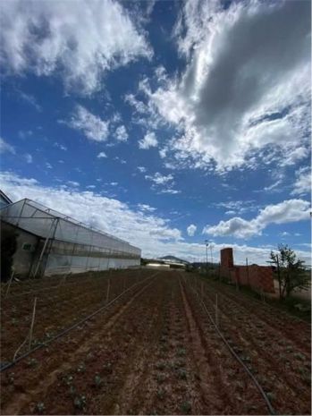 Đất đẹp - giá tốt - chính chủ cần bán nhanh lô đất tại 7190919