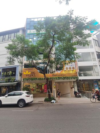 Tòa văn phòng vip mặt phố hoàng cầu, đống đa, 216m2 8t 7192206