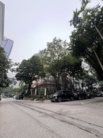 Biệt thự kđt mới cầu giấy, dịch vọng hậu 236m2 4t mt 7192747