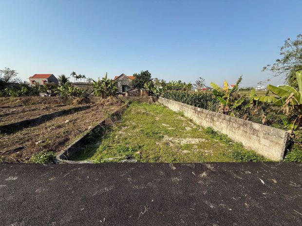 Bán lô 98m² thù du  minh tân  giá 9xx triệu  hàng rẻ khu 7195702