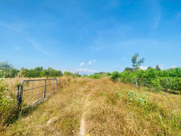 Bán 4000m2 đất tân phước -  lagi gái rẻ nhất 850tr sào sổ 7196756