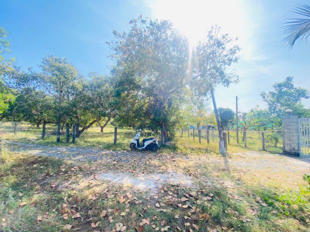 Bán 4000m2 đất tân phước -  lagi gái rẻ nhất 850tr sào sổ 7196757