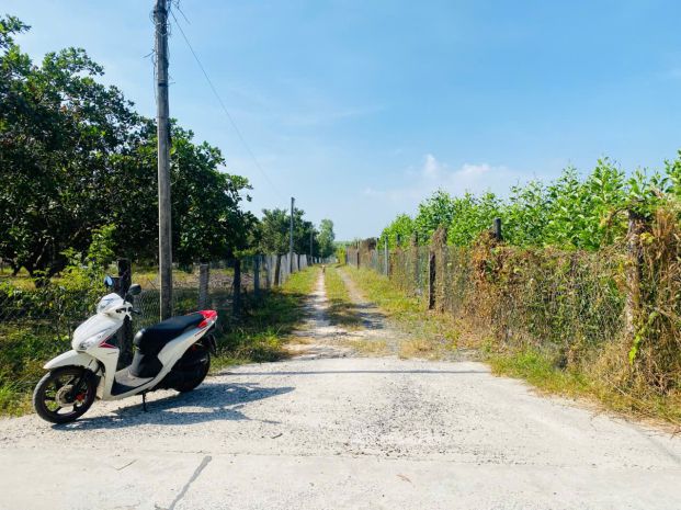 Bán 4000m2 đất tân phước -  lagi gái rẻ nhất 850tr sào sổ 7196758