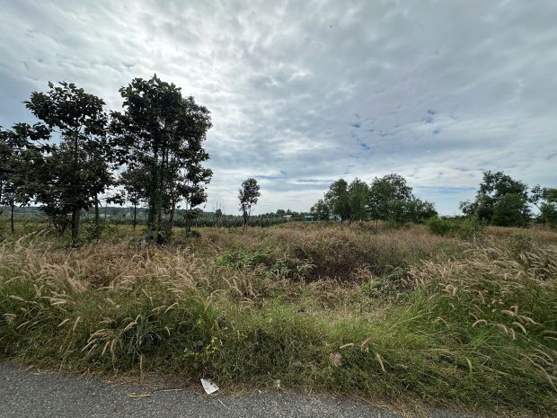 Bán 11.5m x 37m đất thổ cư đường võ văn tần, la gi giá chỉ 7202744