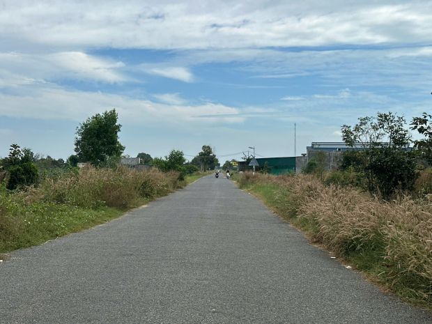 Bán 11.5m x 37m đất thổ cư đường võ văn tần, la gi giá chỉ 7202747