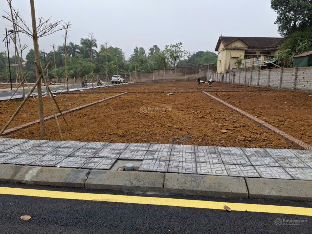 Chính chủ cần bán gấp đất tại cổ đông, sơn tây, hà nội, 7206145