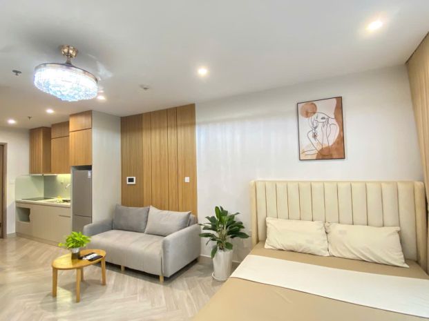 Chính chủ cho thuê căn hộ studio tầng trung, view đẹp tại 7208009