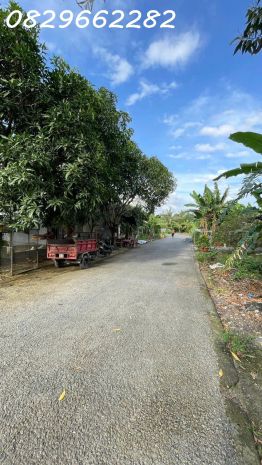 Bán nhà sổ hồng kdc xẻo vạt, đồng tháp. dt 219m2 ful thổ cư 7209985