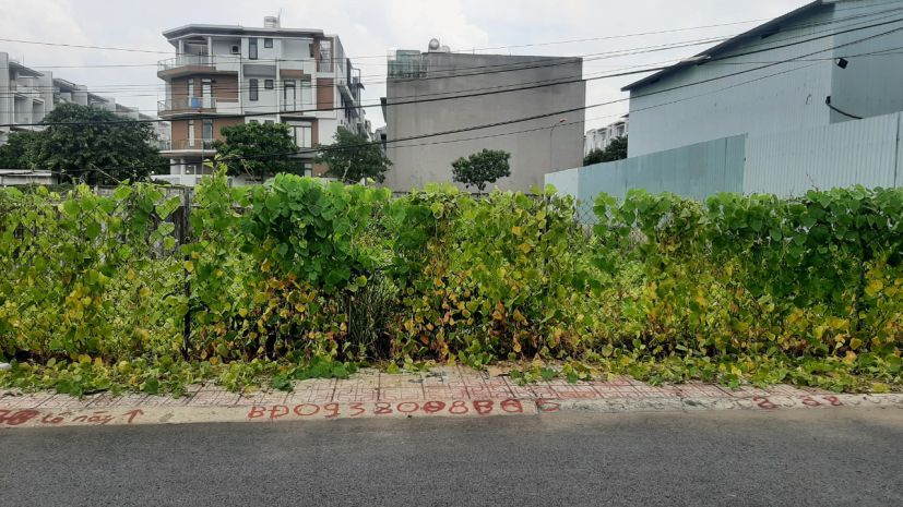 Bán lô đất biệt thự 2 mặt tiền đường số 3 hiệp bình phước - 7213742