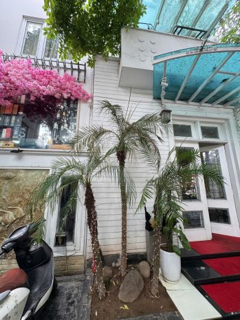 Mặt phố vip nguyễn khánh toàn, cầu giấy 263m2 3t mt 15m, 7215422