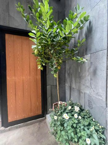 Bán tòa nhà 8 tầng mễ trì dòng tiền khủng 7216271