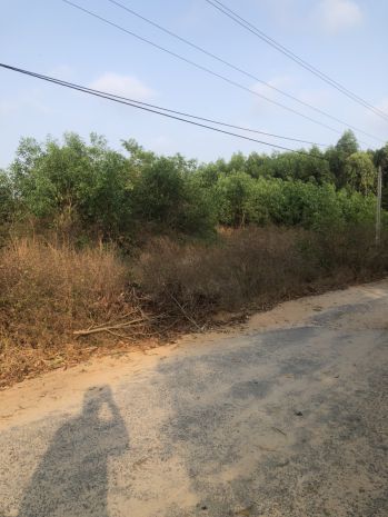 Bán 19m x 41m đất mặt tiền lý nam đế - tân phước - lagi 7219834