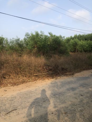 Bán 19m x 41m đất mặt tiền lý nam đế - tân phước - lagi 7219835