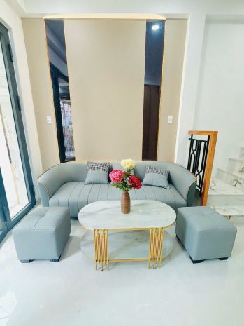 Bán nhà mới xây 100  xinh lung linh khu vip q8 -  42.3 7220308