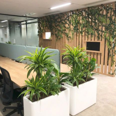 Bán sàn văn phòng 43m²  lộc ninh singashine 7220896