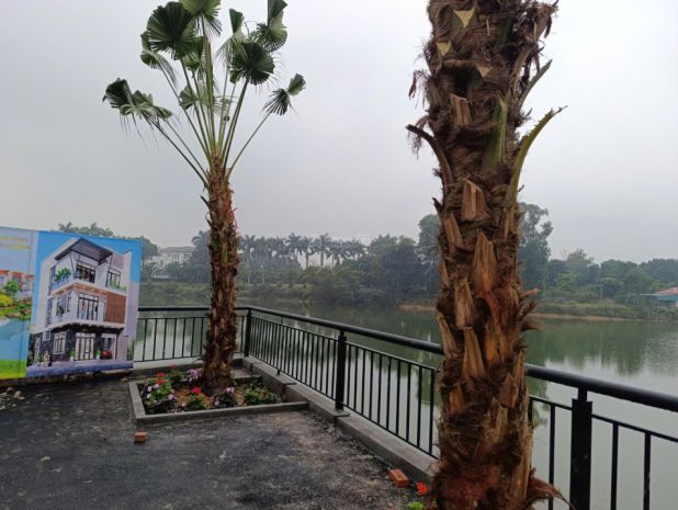 Bán 100m2 đất nền trại hồ giá 3, x tỷ 7221138