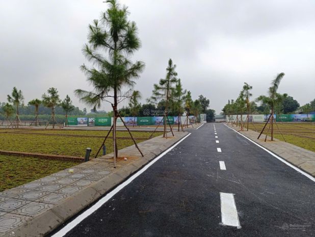 Bán 100m2 đất nền trại hồ giá 3, x tỷ 7221140