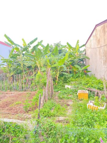 2,x tỷ  lô đất giá tốt hiếm tại tân thành  ngõ 5m ô tô vào 7222919