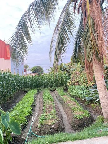 2,x tỷ  lô đất giá tốt hiếm tại tân thành  ngõ 5m ô tô vào 7222920