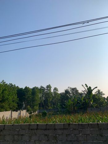 Ra nhanh  lô đất đẹp hiếm còn sót lại tại lam sơn sao vàng 7223740