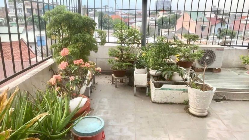 Bán nhà hẻm 8m phạm văn hai, phường 3 tân bình 5*17 chợ 7225071