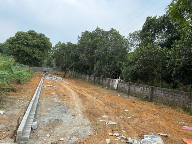 Chính chủ bán gấp lô đất trước tết  đất mặt đường nguyễn 7225330