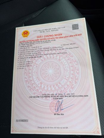 Chính chủ bán gấp lô đất trước tết  đất mặt đường nguyễn 7225334