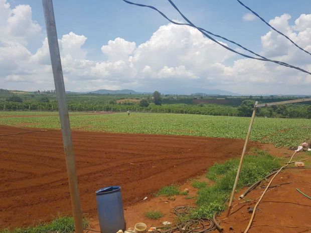 Cần bán 2,4 ha đất hẻm thuộc n,thôn hạ đức trọng cũ, lâm đồn 7229758