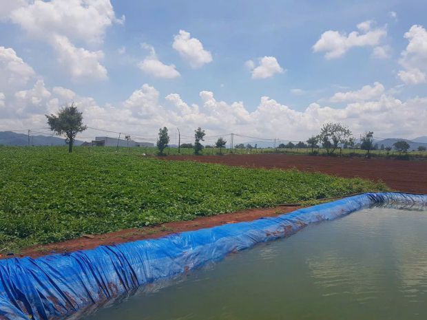 Cần bán 2,4 ha đất hẻm thuộc n,thôn hạ đức trọng cũ, lâm đồn 7229760