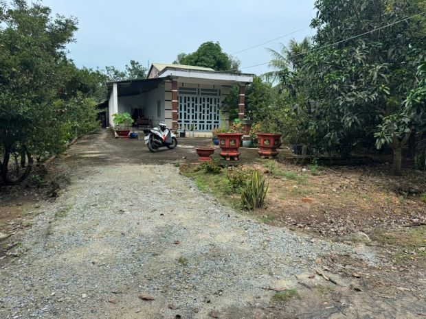 Trảng bàng-tây ninh ngộp giảm 2 tỷ còn 2 tỷ 990tr dt 3555m2 7229848