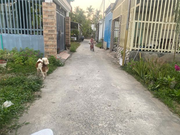 Đất chính chủ - giá tốt - xã mỹ thạnh an, tp bến tre, tỉnh 7230124