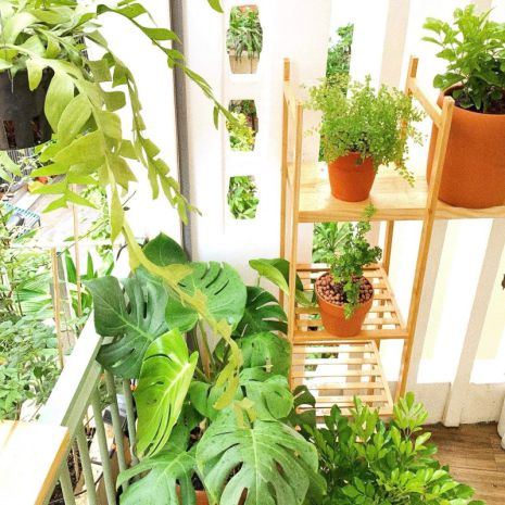 Thích quảng đức phú nhuận  hẻm đẹp yên tĩnh  34m2 nở 7231354