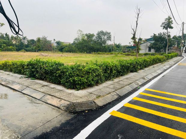 Nghịch lý đất nền đông triều  quảng ninh mà giá rẻ như n 7231923