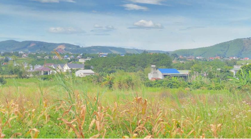 6,9 sào khu biệt thự nghỉ dưỡng, thuộc gia lâm, nam ban, lâm 7232182