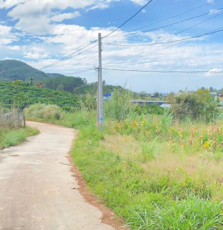 6,9 sào khu biệt thự nghỉ dưỡng, thuộc gia lâm, nam ban, lâm 7232183