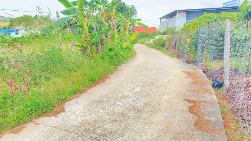 6,9 sào khu biệt thự nghỉ dưỡng, thuộc gia lâm, nam ban, lâm 7232184