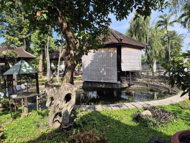 Siêu phẩm biệt thự gỗ sân vườn  2 mặt tiền nhựa nhị bình, 7232517