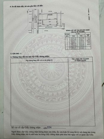 Đất mặt tiền nhựa phùng thị chuyện  thới tam thôn, hóc môn 7233867