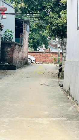 Cơ hội cuối năm  bán nhà đất trần phú, chương mỹ 7234490