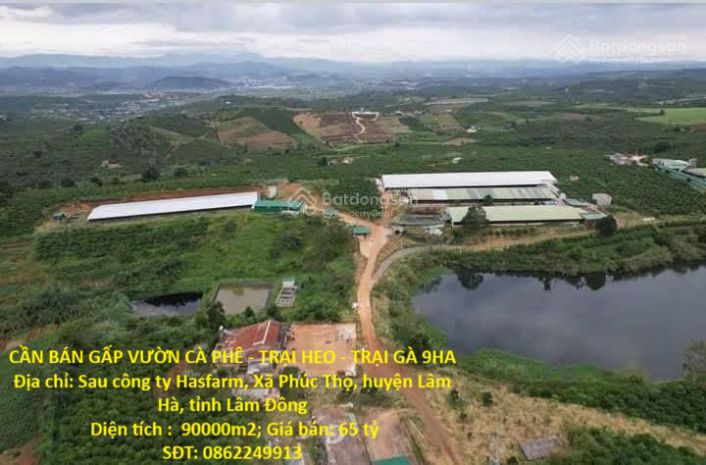 Đất  đẹp- giá tốt- cần bán nhanh đất tại xã phúc thọ, lâm 7235865