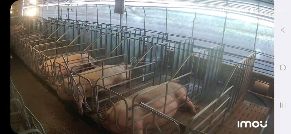 Đất  đẹp- giá tốt- cần bán nhanh đất tại xã phúc thọ, lâm 7235866