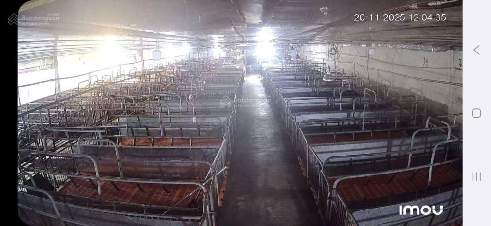 Đất  đẹp- giá tốt- cần bán nhanh đất tại xã phúc thọ, lâm 7235867