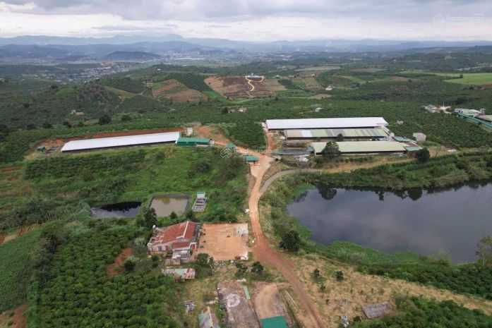 Đất  đẹp- giá tốt- cần bán nhanh đất tại xã phúc thọ, lâm 7235868