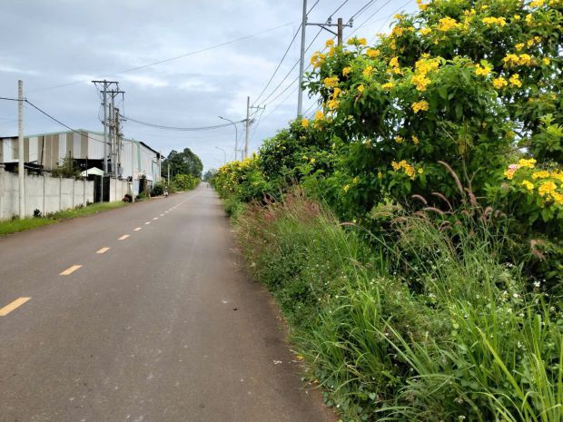 Cơ hội vàng đầu tư  đất mặt tiền tp.hcm brvt cũ 7237121