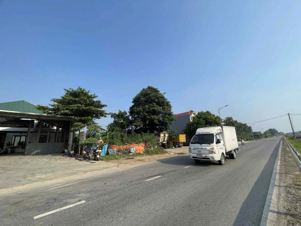 Chính chủ cần bán gấp đất mặt quốc lộ 32c  lâm thao, phú 7237275