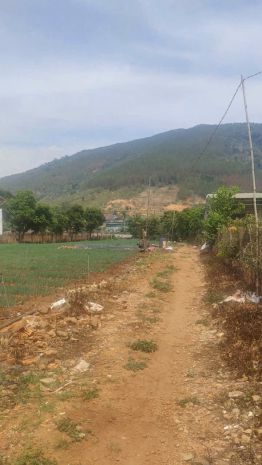 Tổng 4200m2 đất mặt tiền ql20, hiệp an đức trọng, lâm đồng 7238090