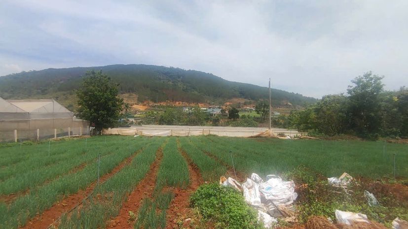 Tổng 4200m2 đất mặt tiền ql20, hiệp an đức trọng, lâm đồng 7238093