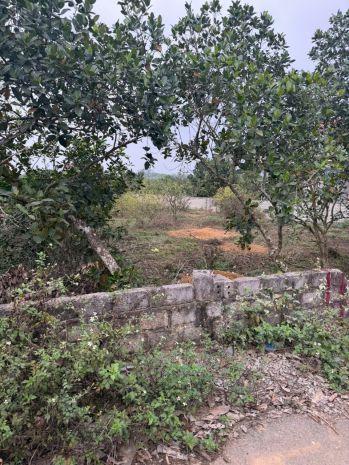 Đất chính chủ- giá tốt cần bán nhanh lô đất đầu tư sinh lời 7244041