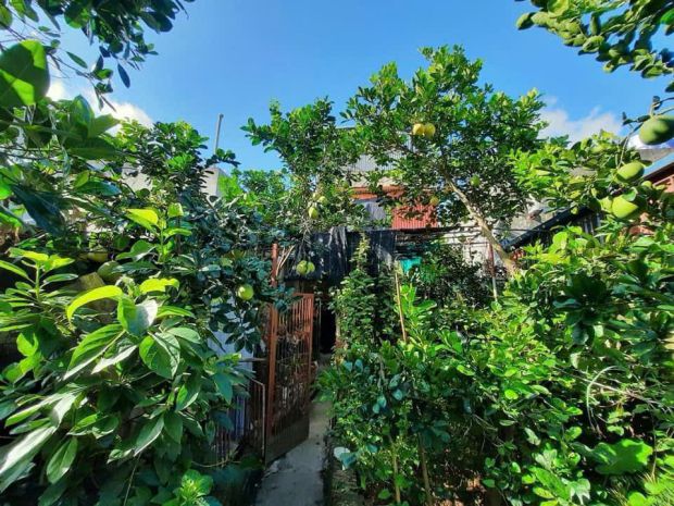 Nhà đẹp- giá tốt chính chủ cần bán nhanh nhà 3 tầng 2 mặt 7245200